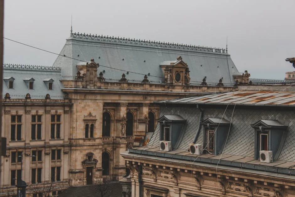 Bibliotecile publice din București: servicii moderne și programe culturale
