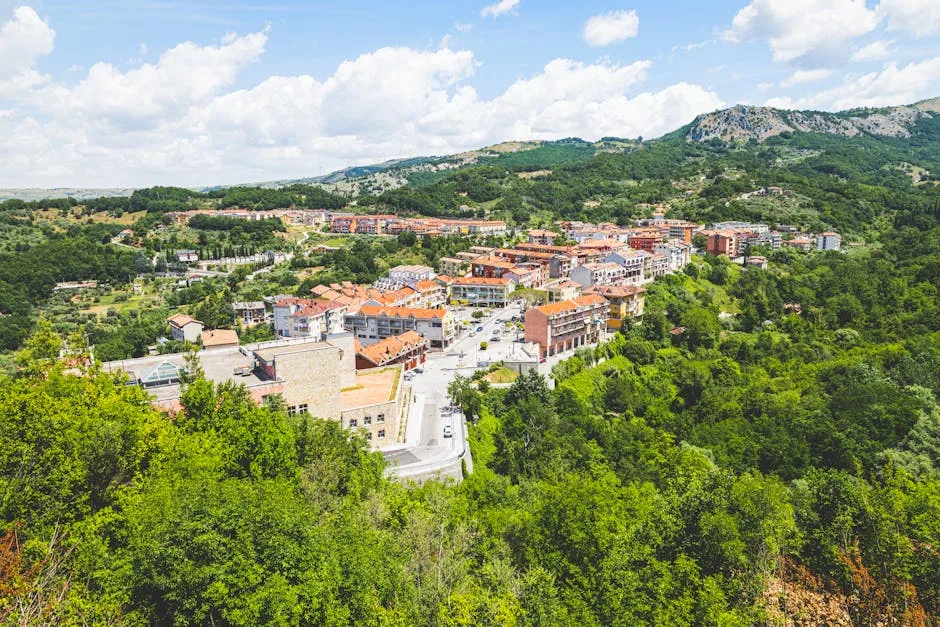 Campania de plantare de arbori în București: obiective și locații