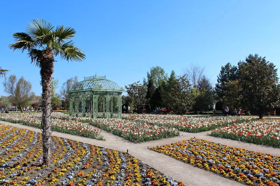 Grădinile botanice și serele din București deschise publicului