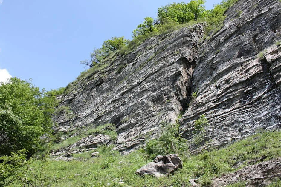 Crescătorii de lăstari din România: Comoara verde din grădini