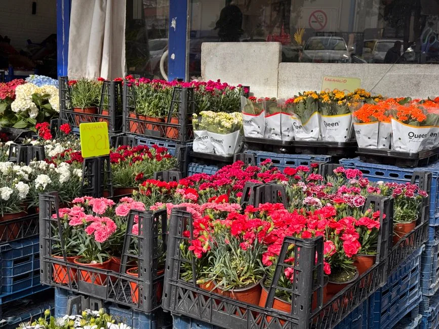 Piața de flori Rahova renaște după investiții majore de modernizare