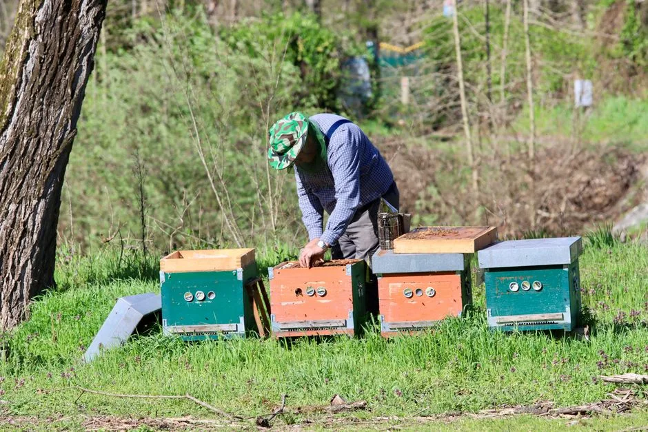 Îngrijorări ecologice: Descoperiri surprinzătoare pe fundul Lacului Herăstrău