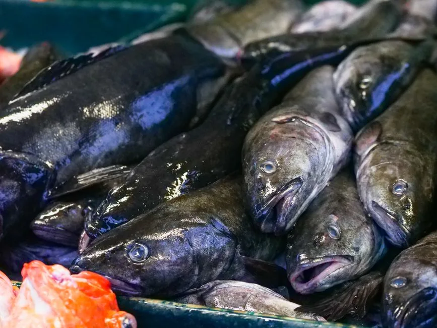 Cod galben de furtuni în România: Avertizări meteorologice și măsuri de precauție