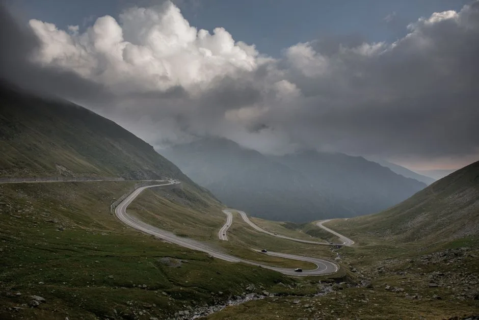 Urs împușcat pe Transfăgărășan după un atac asupra unui turist elvețian