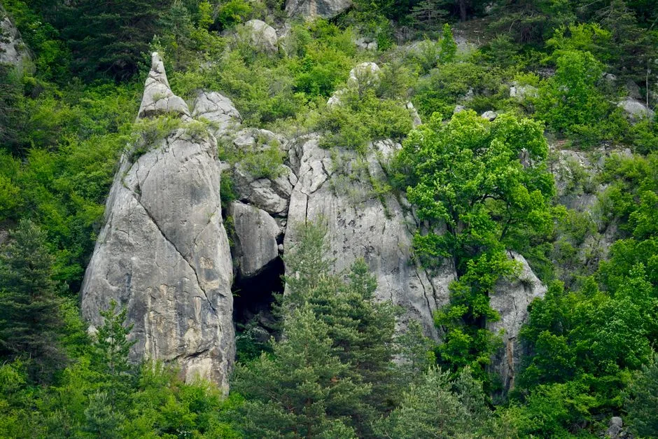 Intrarea unui gigant japonez pe piața românească: 7-Eleven la orizont?