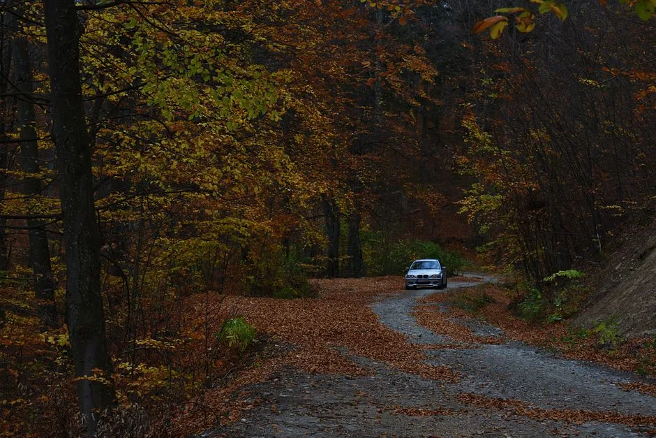 Tragedie în Neamț: Doi frați și-au pierdut viața în încercarea de a-și salva sora