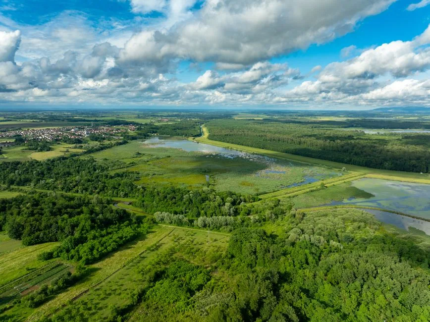 Retragerea Strategiei Biodiversității: Tensiuni Politice și Implicații Ecologice