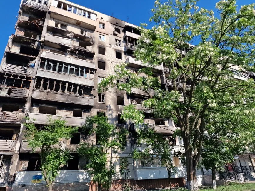 Dilema compensațiilor: tragedia copiilor uciși de câini și reacțiile autorităților