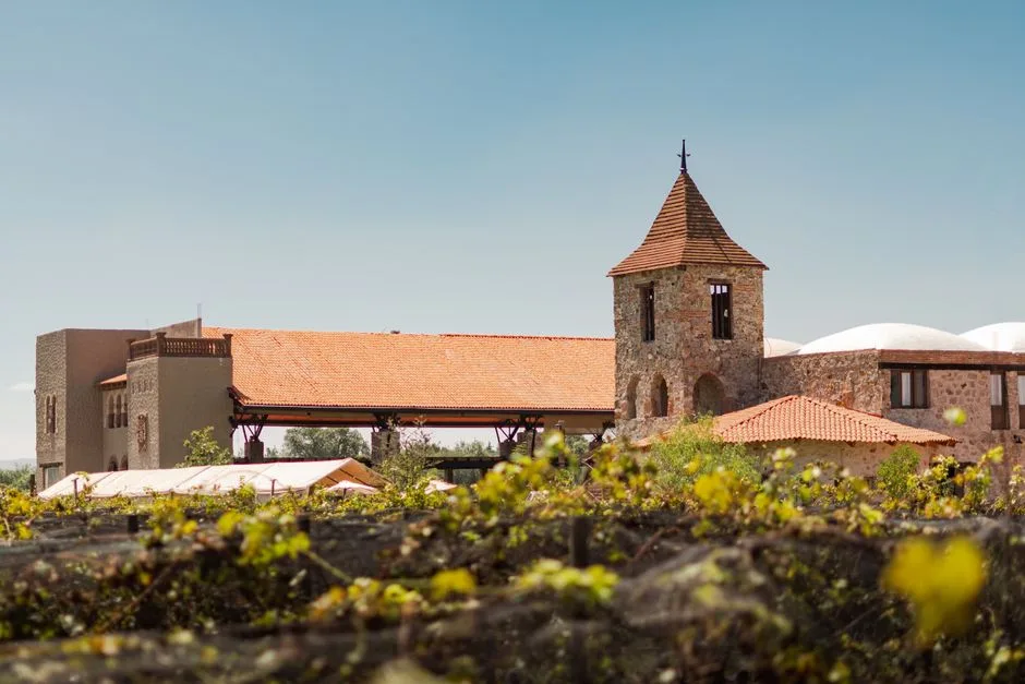 Transformări majore în domeniul curieratului: Sameday devine noul proprietar al Cargus