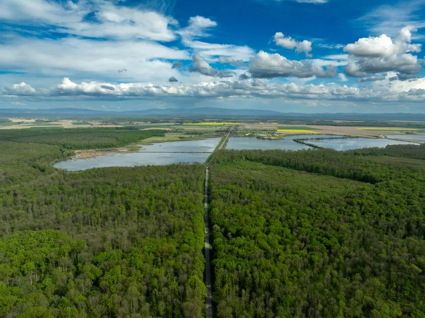 Adoptarea strategiei pentru biodiversitate: un pas important în cadrul PNRR