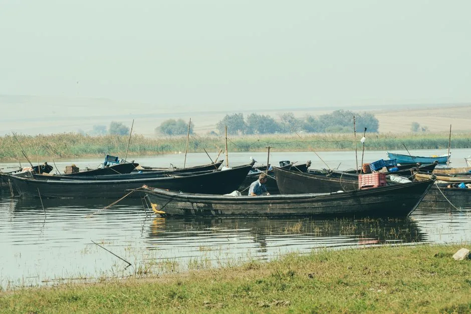 Dunărea în fața provocărilor climatice: Implicații pentru România și soluții posibile