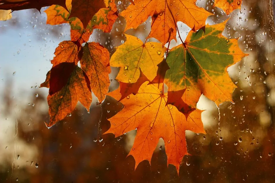 Prognoza meteo pentru toamna anului 2023: Ce ne așteaptă în septembrie și începutul lunii octombrie