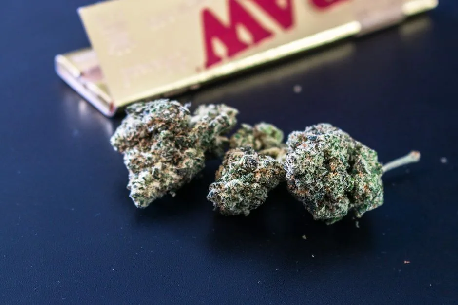 Cazul Dana Marijuana: Cântăreața condamnată la închisoare pentru trafic de droguri