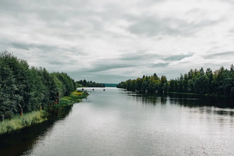 Întărirea frontierelor: Finlanda construiește un gard de 200 de kilometri la granița cu Rusia