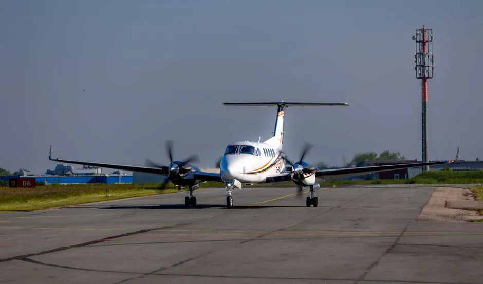 Aeroportul din Lituania închis temporar din cauza păsărilor: Impactul asupra transportului aerian european
