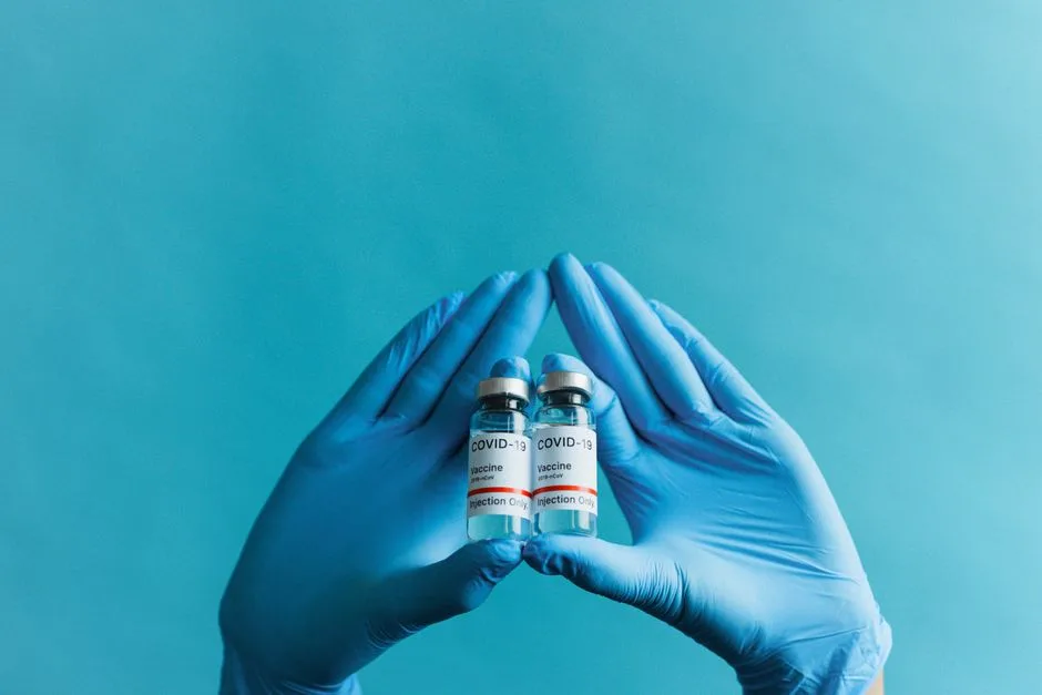 Exporturile de oi vaccinate vor fi reluate în curând, anunță oficialii din sector