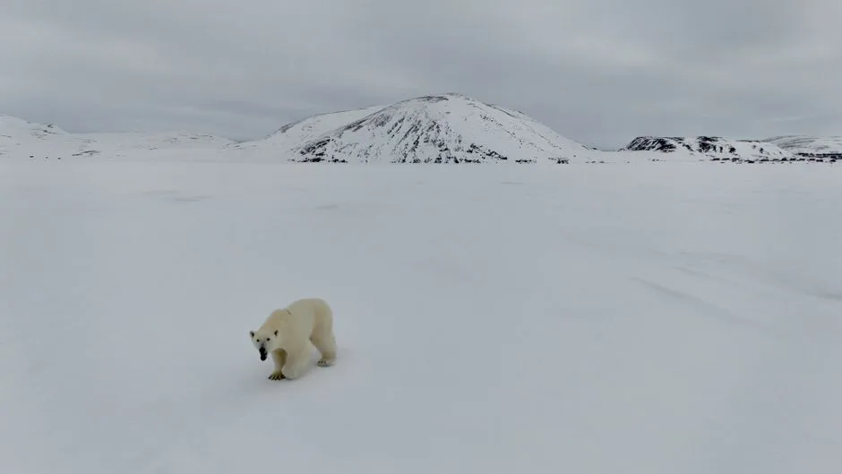 Un val de frig polar se abate asupra României, anunțând primele ninsori ale sezonului