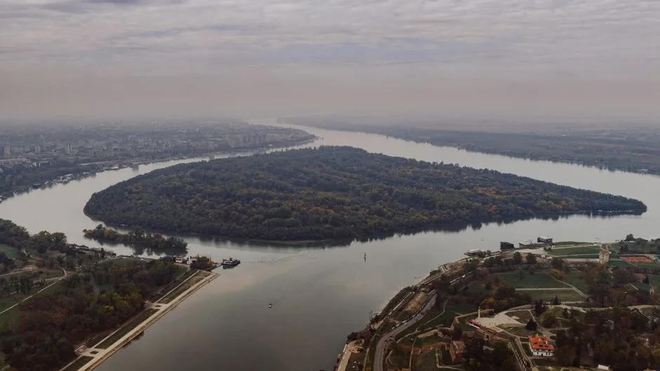 Redescoperirea Insulei Lacul Morii: O oază de natură în inima Bucureștiului