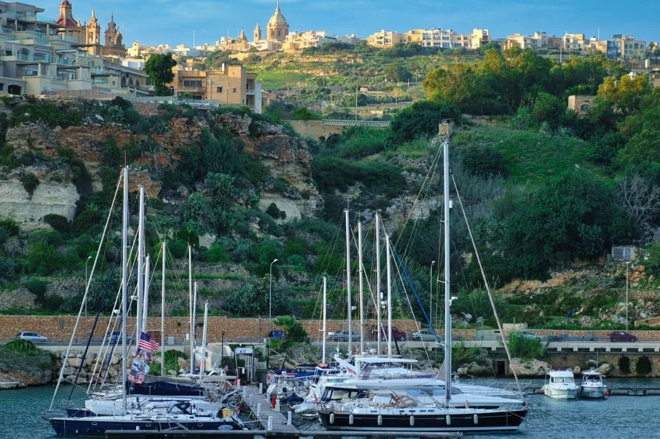 Cavalerii de Malta: O privire asupra unei organizații controversate în contextul recentelor evenimente