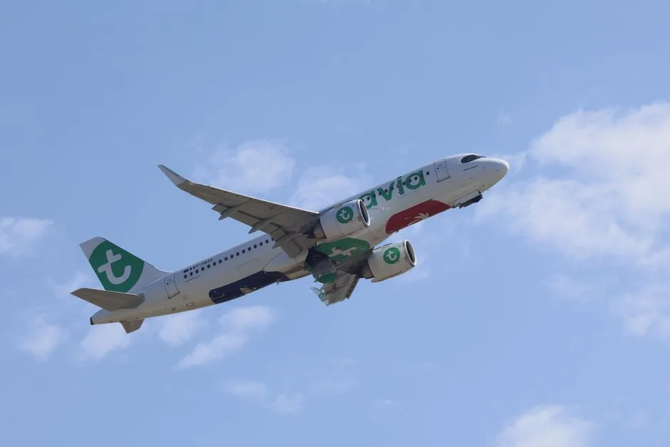 O nouă criză în aviația românească: AnimaWings își cere insolvența după suspendarea zborurilor