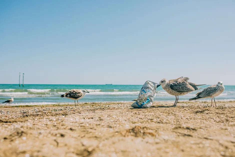 Misiune de salvare în Marea Neagră: O navă turcească atacată de o dronă
