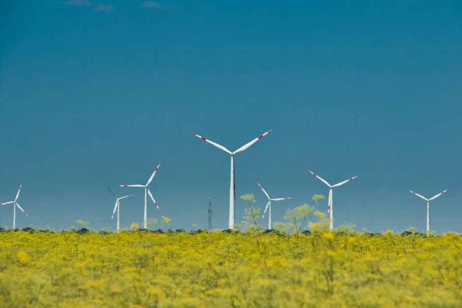 Creșterea costurilor energiei electrice: Impactul asupra consumatorilor din București
