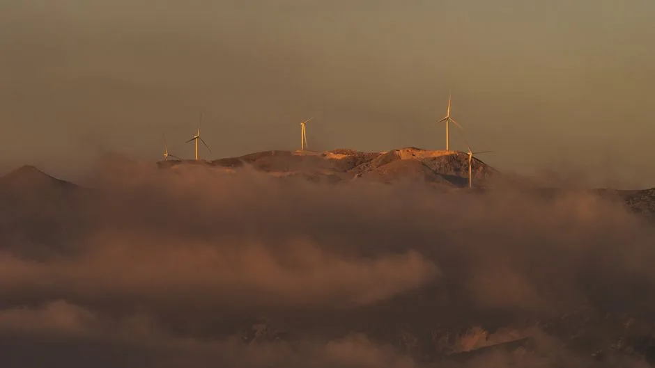 Un climat de neîncredere: Răspunsurile Rusiei la pandemia de ciumă