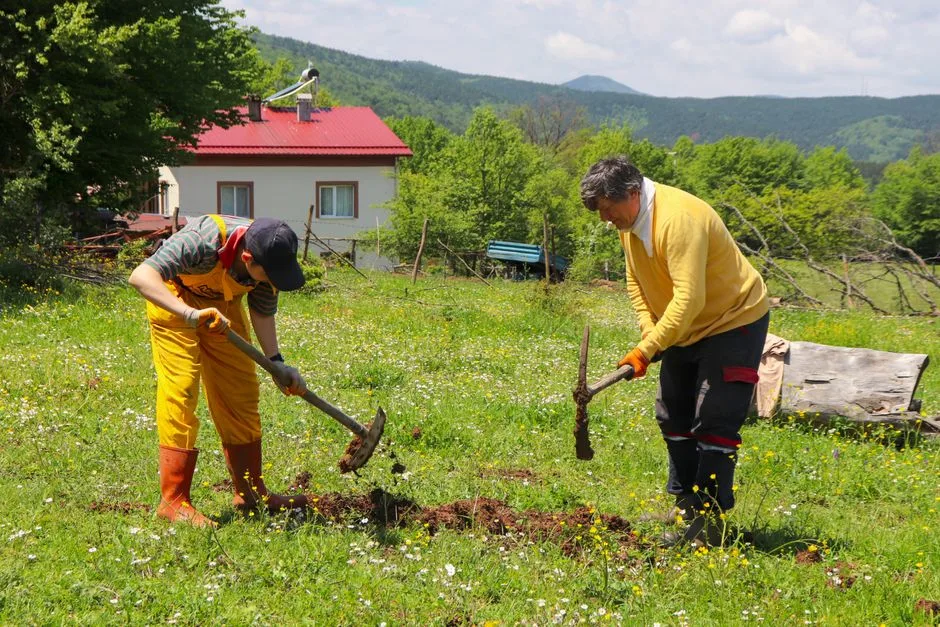 Zelenski facilitează negocierile de aderare a Ucrainei la Uniunea Europeană prin promulgarea unei legi solicitate de Ungaria
