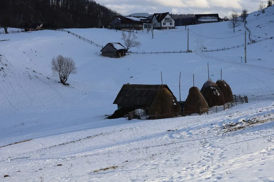 Iarna își face simțită prezența în zona montană: ninsoare abundentă și condiții meteo extrem de dificile