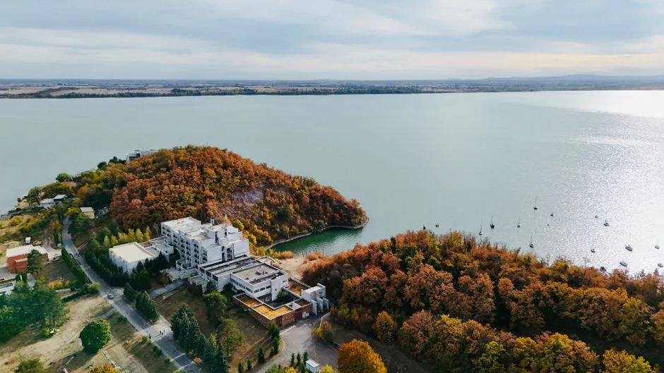 Întâlnirea de la Vila Lac: Luca Niculescu și miniștrii propuși discută viitorul României