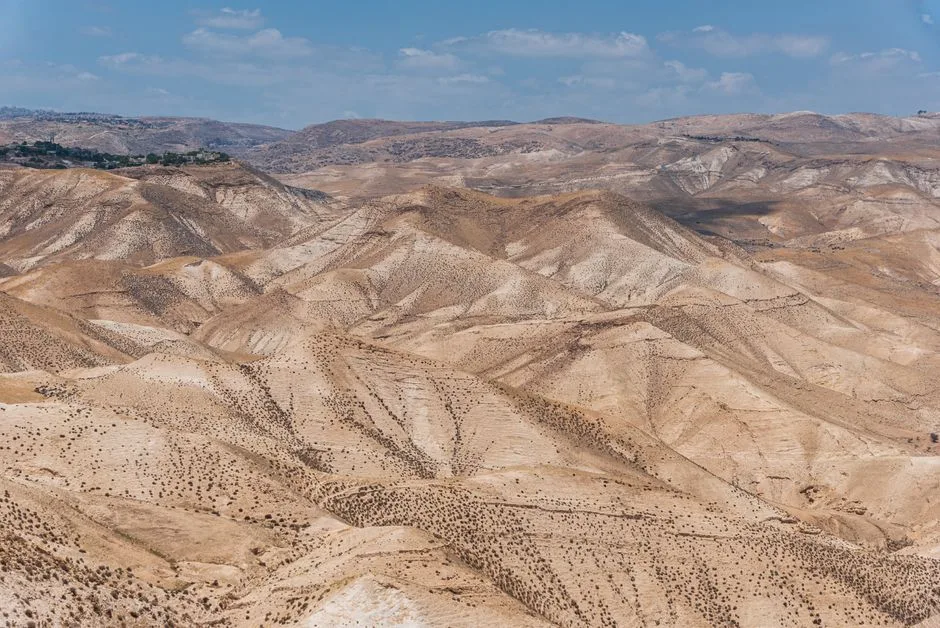 Alegerile din Israel: Rezultatele preliminare și impactul partidelor arabe