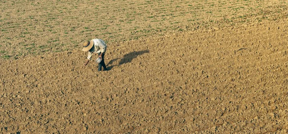 Frauda în agricultură: Un fermier din Brașov reținut pentru înșelăciune în obținerea subvențiilor europene
