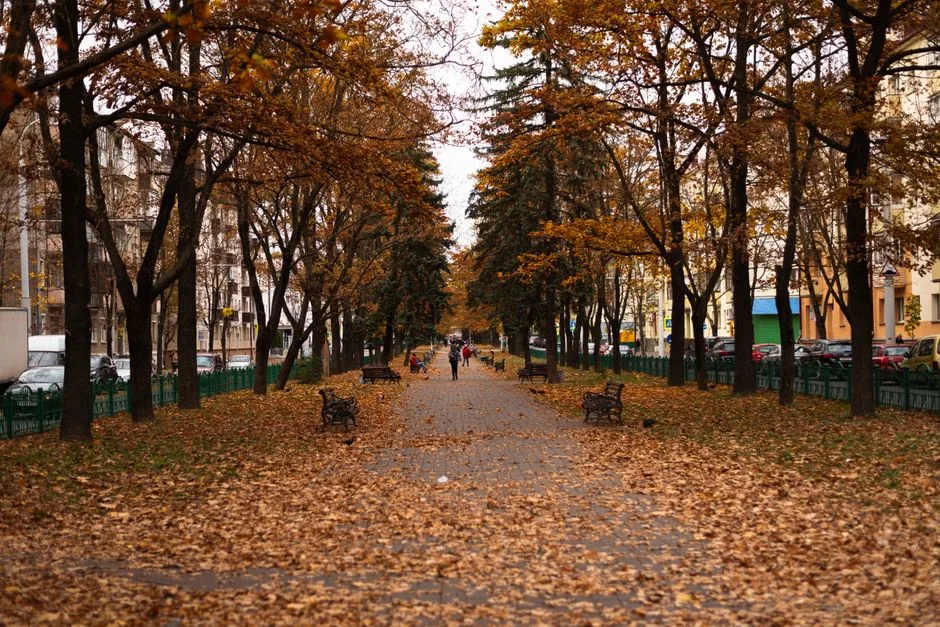 Noiembrie aduce o selecție captivantă de jocuri video, dincolo de așteptatul GTA 6
